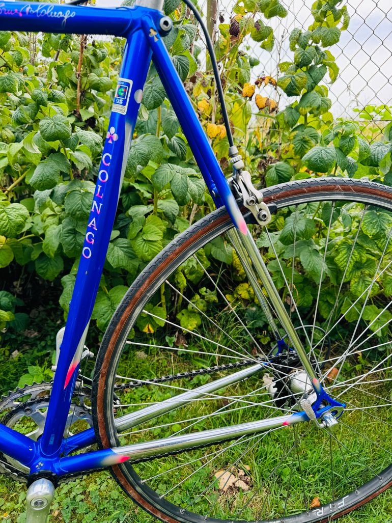 Colnago Master Piu used in 61 cm | buycycle USA