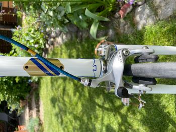 Used Diamant Fixie Stahl Bahnrahmen 2025 Road & Gravel, White — image 5 of 8