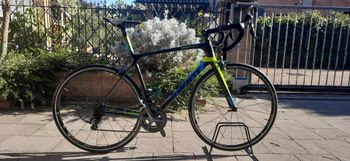 Giant - TCR ADVANCED  SL 2, 2017