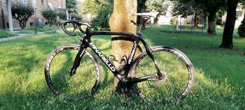 Pinarello - Dogma 65.1 Think2 Team Frameset 2014, 2014