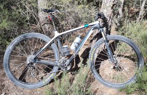 Trek - Superfly Elite 2010, 2010