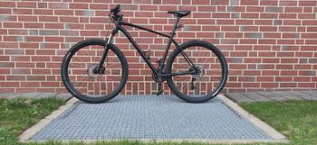 Specialized - Rockhopper 29 2020, 2020