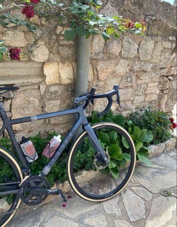 Used Festka One Disc LAST 15 DAYS ! 2023 Road & Gravel, Blue — image 5 of 11