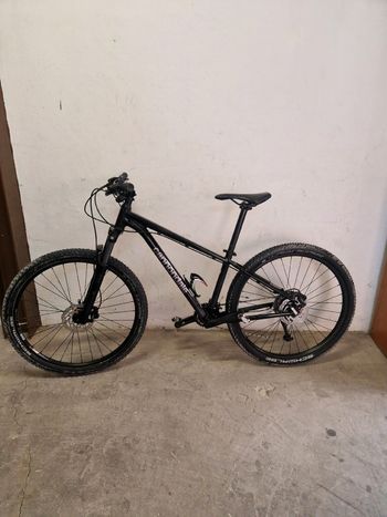 Cannondale - Trail 5 2023, 2023