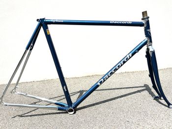 Daccordi - New Griffe Disc Frameset, 2021