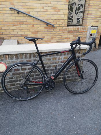 Canyon - Endurace CF 8.0, 2018