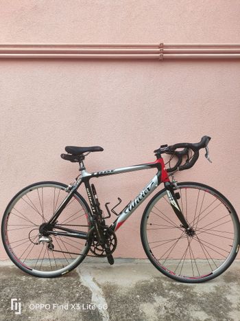 Used Wilier Thor 2006 Road & Gravel, Light Gray — image 1 of 5