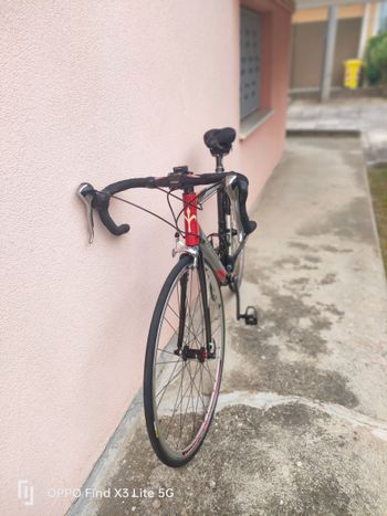 Used Wilier Thor 2006 Road & Gravel, Light Gray — image 5 of 5