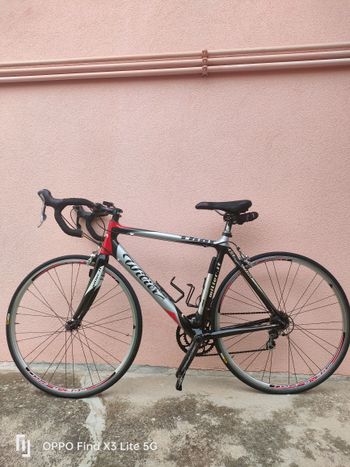 Used Wilier Thor 2006 Road & Gravel, Light Gray — image 2 of 5