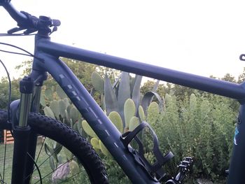 Used Specialized Rockhopper Comp 29 2023 2023 Mountainbike, Light Gray, 29 — image 7 of 8