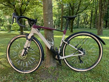 Cannondale - Topstone Carbon 3, 2022