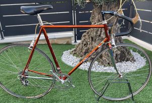 Wilier - Triestina ramata, 1980