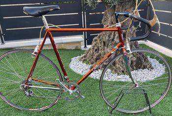 Wilier - Triestina ramata, 1980