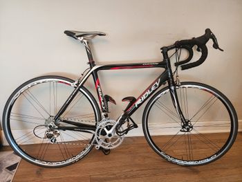 Ridley - Orion - Shimano 105 2020, 2020