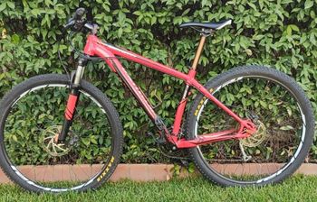 Specialized - Rockhopper 29 2017, 2017