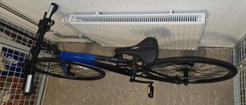 Used Trek FX 3 2024 Road & Gravel, Blue — image 6 of 10
