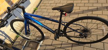 Used Trek FX 3 2024 Road & Gravel, Blue — image 3 of 10