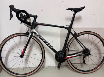 Giant - TCR Advanced 2 2019, 2019