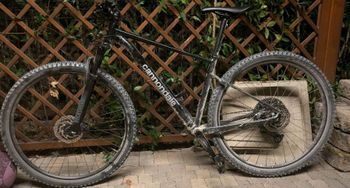 Cannondale - Trail SL 3 2022, 2022