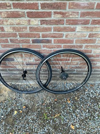Brugt Campagnolo calima 2021 Wheels