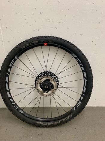 Fulcrum Red Zone 700 2021 bike usato — immagine 5 di 7