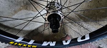 Brugt damil Core Carbon Evo 29 2023 bike — billede 3 af 9