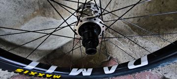 Gebrauchtes damil Core Carbon Evo 29 2023 bike — Bild 3 von 9