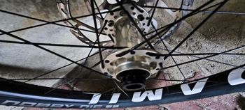 Brugt damil Core Carbon Evo 29 2023 bike — billede 2 af 9