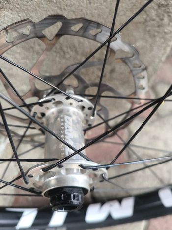 Brugt damil Core Carbon Evo 29 2023 bike — billede 8 af 9