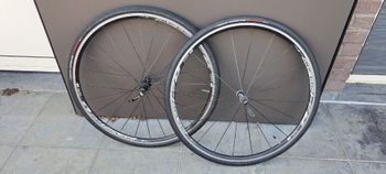 Brugt dt swiss r24 spline 2016 Wheels