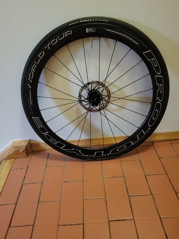 PROTOTYPE, World Tour 5