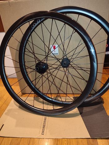 Gebrauchtes orbea Oquo RP35LTD 2024 bike — Bild 1 von 10