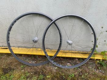 Brugt Chris King R45 2022 Wheels