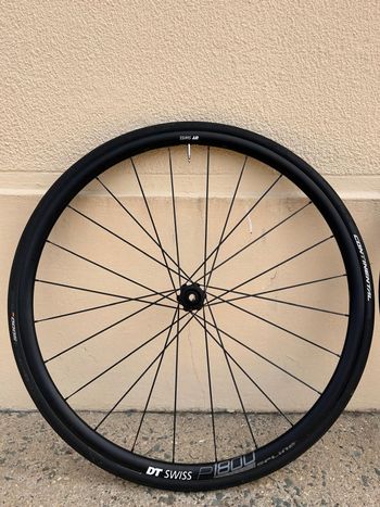dt swiss p1800 spline 美品 Dt Swiss P 1800 Spline 2020