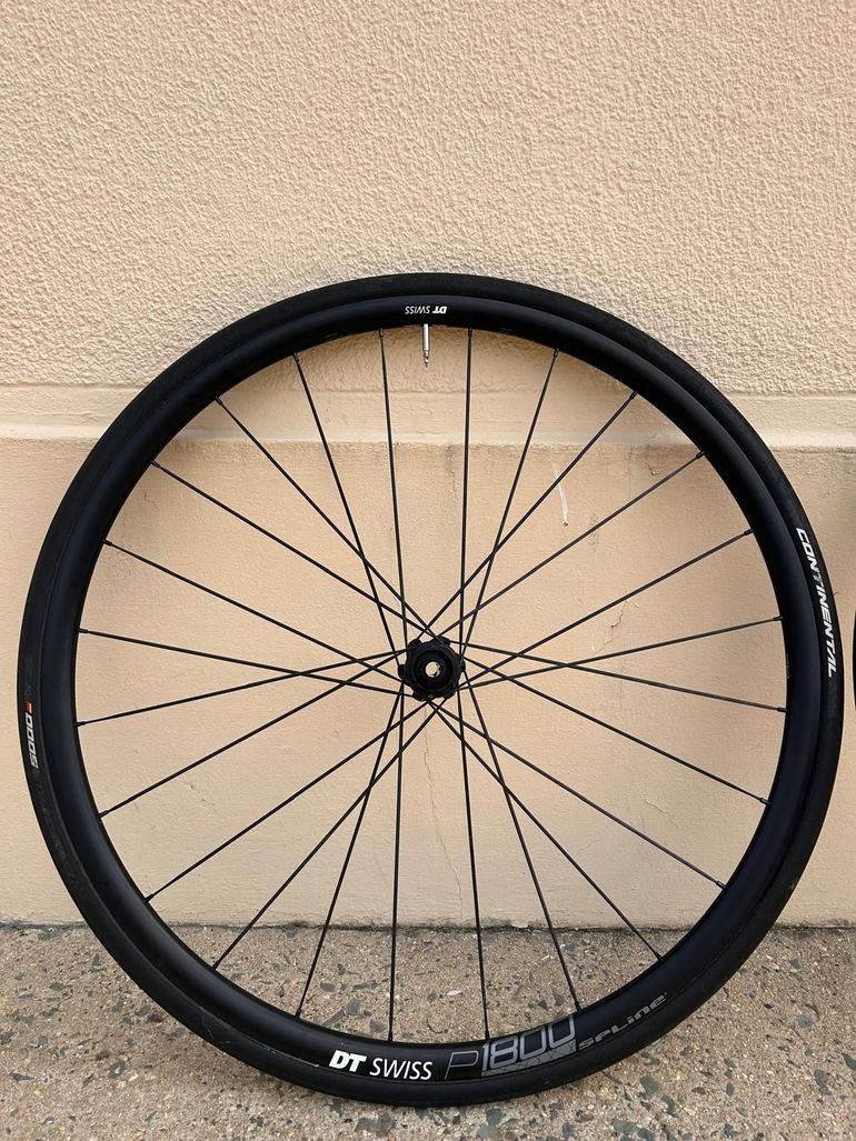 Disc Brake Dt Swiss G1800 Spline Db Rueda Trasera Gravel DT Swiss