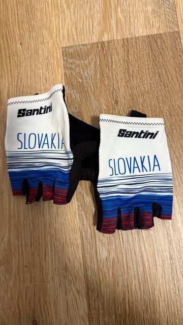 Gebrauchtes Santini Skinsuit Slovakia 2023 bike — Bild 4 von 4