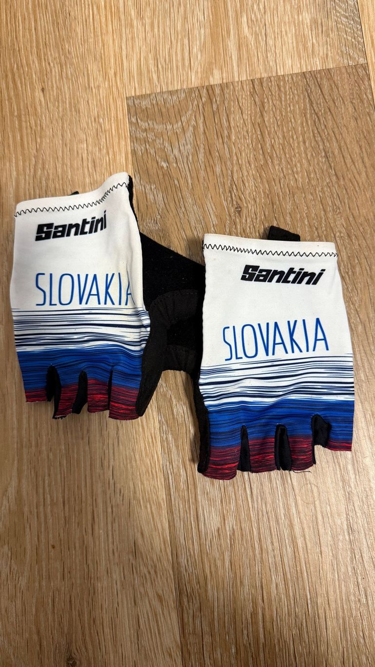 Gebrauchtes Santini Skinsuit Slovakia 2023 bike — Bild 4 von 4