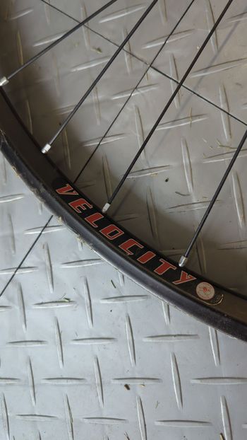 Used Velocity Major Tom bike — image 2 of 5
