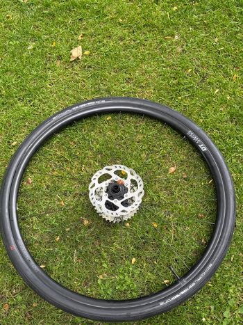 Used Dt Swiss Dt Swiss LN 2025 bike — image 2 of 6