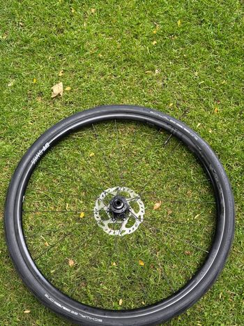 Used Dt Swiss Dt Swiss LN 2025 bike — image 5 of 6