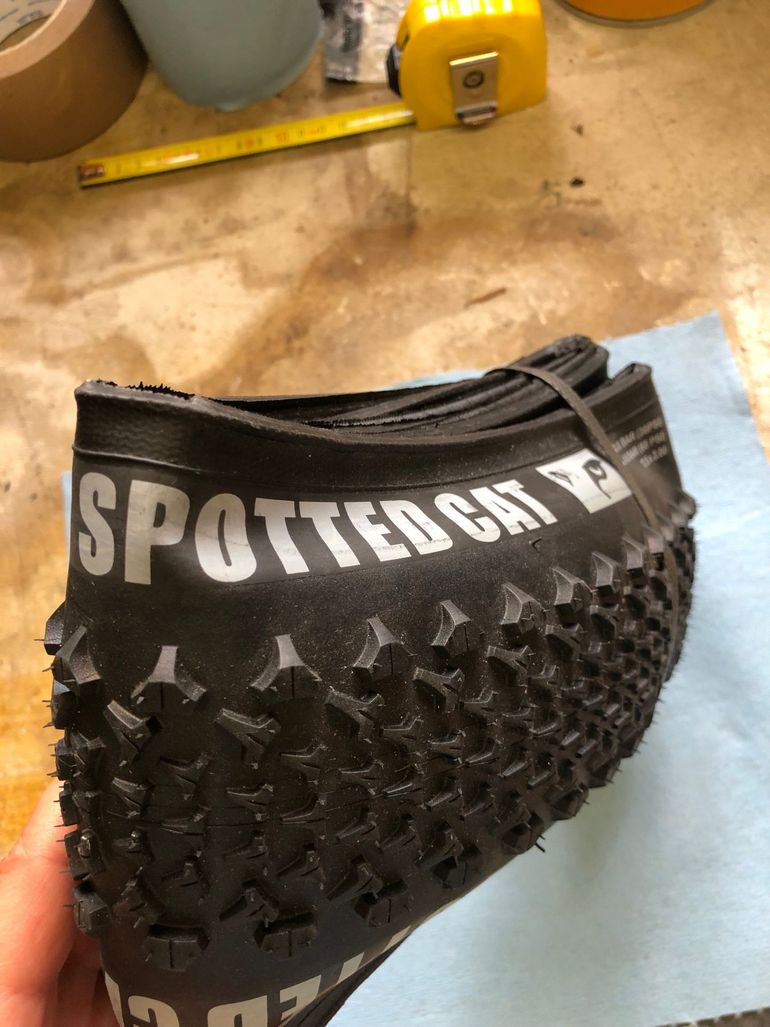 Used VREDESTEIN spotted cat bike — image 2 of 4