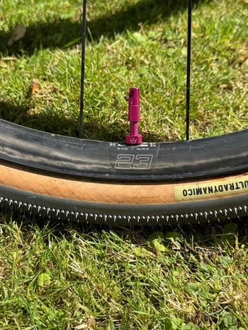 Enve G23 - Chris King 2023 bike d'occasion — image 2 sur 5