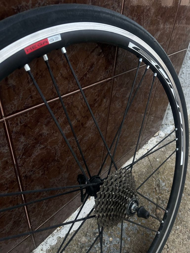 Campagnolo Eurus null