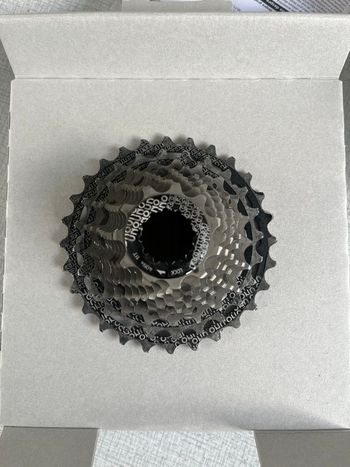 Rotor 12 SPEED SL CASSETTE 11-39! 2025