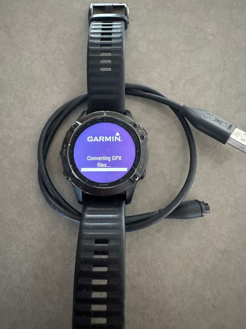Garmin Fenix 6 Pro 2020 Electronics usato