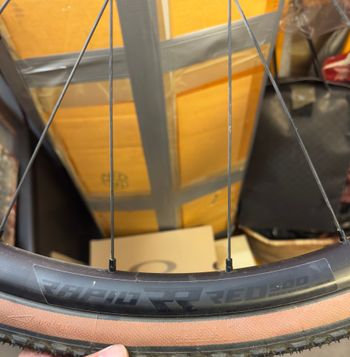 Brugt Fulcrum rápido red 500 2024 bike — billede 5 af 5