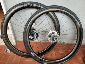 Used Reynolds AR 41 copertoncino 2023 Wheels