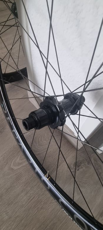 Used Bianchi Reparto Corse 2024 Wheels