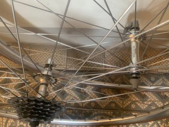 Brugt Campagnolo atalanta 1996 1996 bike — billede 2 af 6