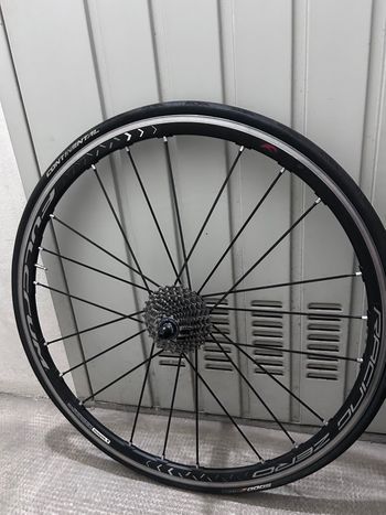 Used Fulcrum Racing Zero 0 2020 bike — image 3 of 6